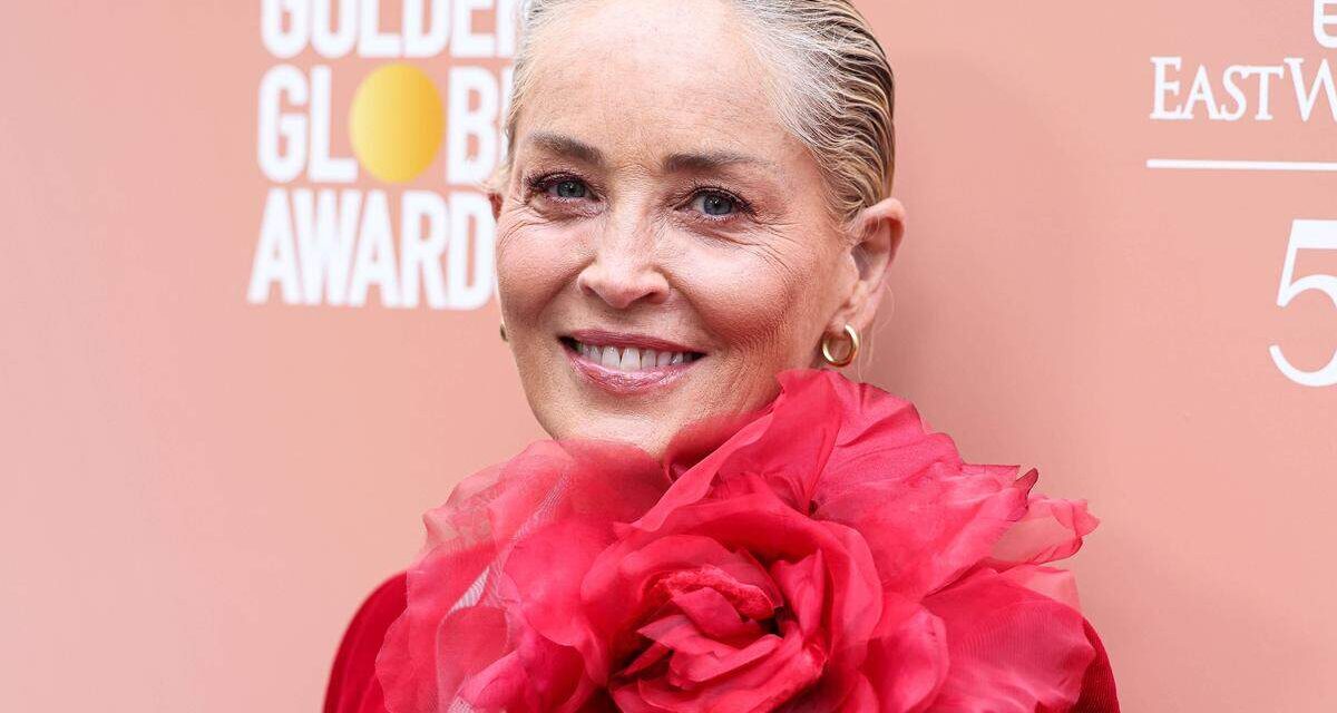 Sharon Stone: “Avevo 18 milioni in risparmi, ma dopo l’ictus, i soldi sul mio conto erano tutti spariti. Non avevo un soldo”